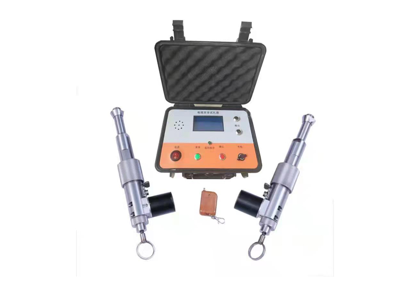 NEPRI-6407雙槍電纜安全刺扎器800600.jpg